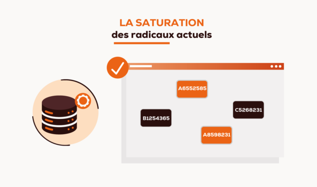 Extrait de la vidéo motion design pour la nouvelle codification des radicaux réalisée par l'agence Naworld à Rabat, Maroc.